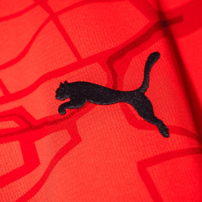 Stade Rennais home 24/25