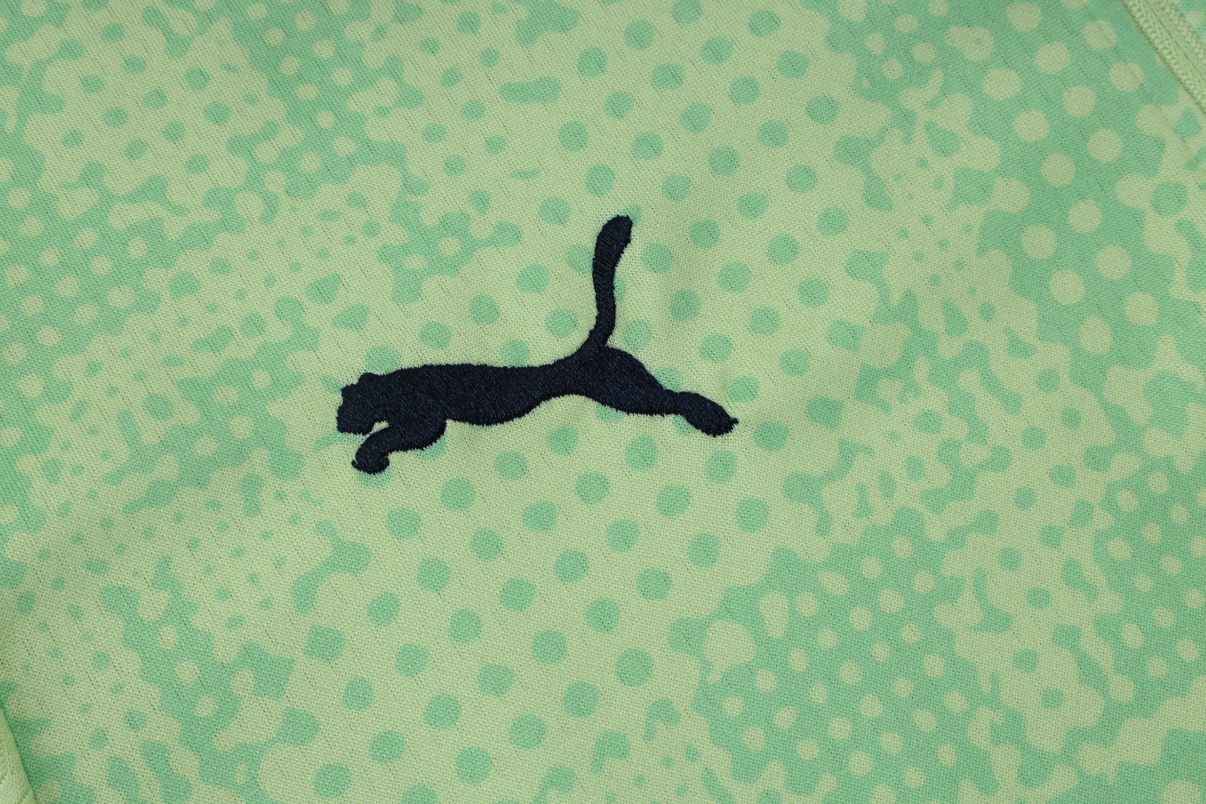 Manchester City Light Green Tracksuit Half-Zip 25/26