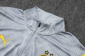Borussia Dortmund Gray/Black Tracksuit Half-Zip 25/26
